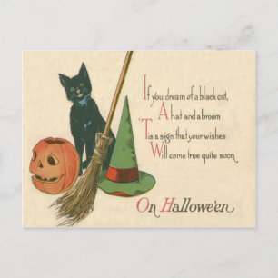 Carte Postale Citrouille Chat Noir Chapeau de Sorcière Balai