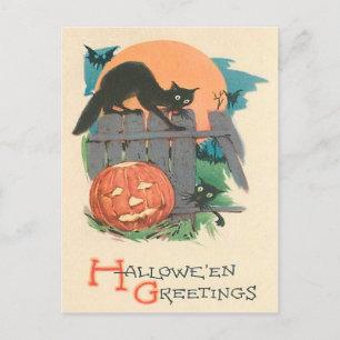 Carte Postale Citrouille Chat Noir Chauve-Souris Pleine Lune
