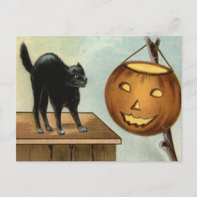 Carte Postale Citrouille Chat Noir Jack O' Lantern (Devant)