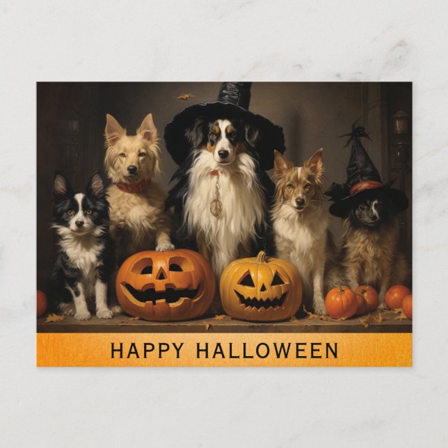 Carte Postale Citrouille de sorcière pour chien mignon d'Hallowe (Devant)
