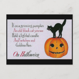 Carte Postale Citrouille et chat
