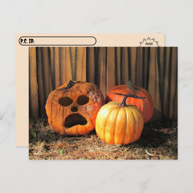 Carte postale Citrouille Halloween (Devant / Derrière)