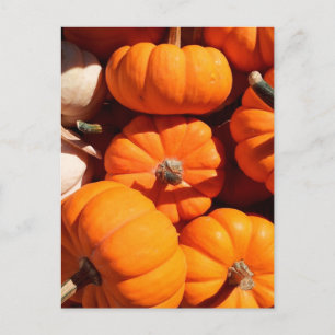 Carte Postale Citrouille halloween Jack-o'-lantern orange citrou