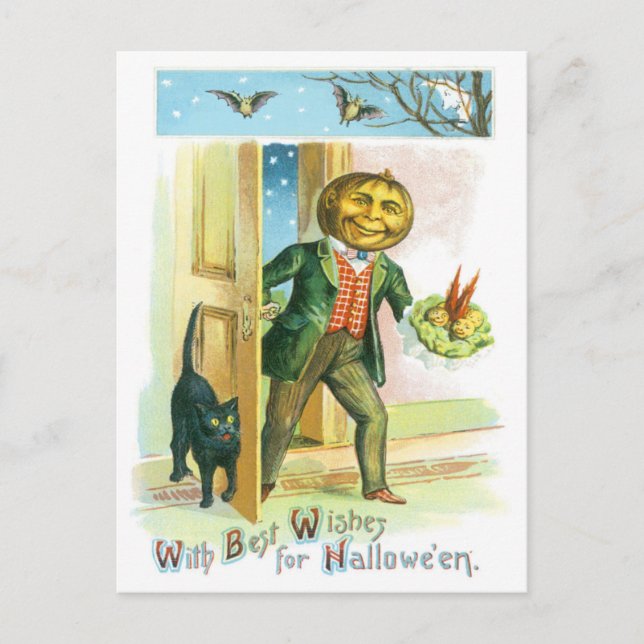Carte Postale Citrouille Jack-o'-lantern Chat Noir Chat Bat (Devant)