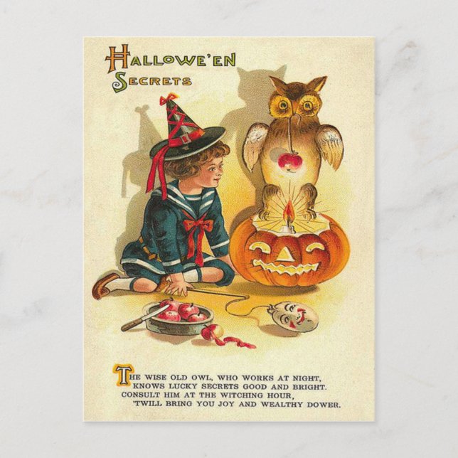 Carte Postale Citrouille Jack O Lantern Chouette Sorcière (Devant)