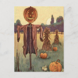 Carte Postale Citrouille Jack-o'-lantern Scarecrow