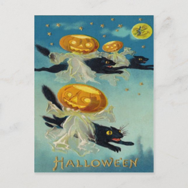 Carte Postale Citrouille Jack O Lanterne Chat Noir Sorcière (Devant)