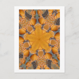 Carte Postale Citrouille Kaleidoscope