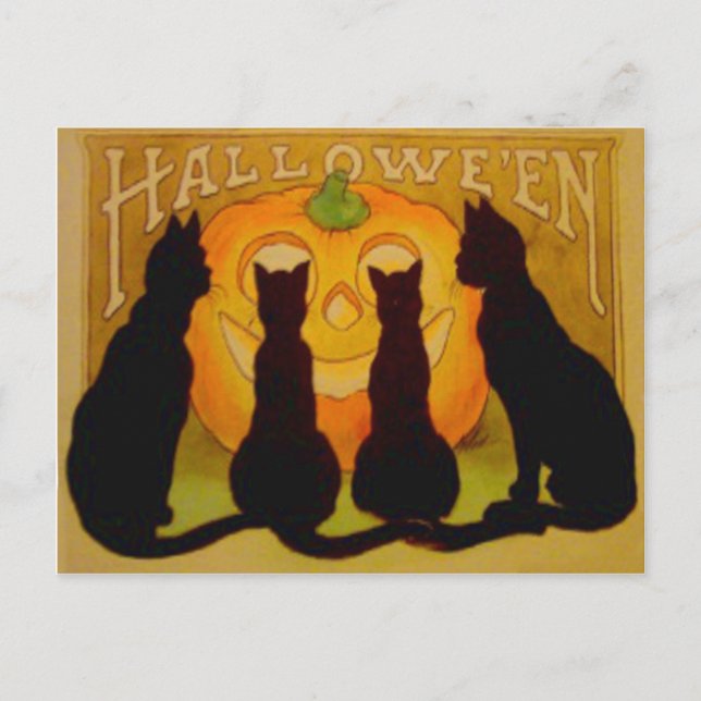 Carte Postale Citrouille Lanterne Jack Chat Noir (Devant)