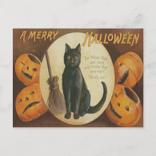 Carte Postale Citrouille Lanterne Jack Chat Noir Balai