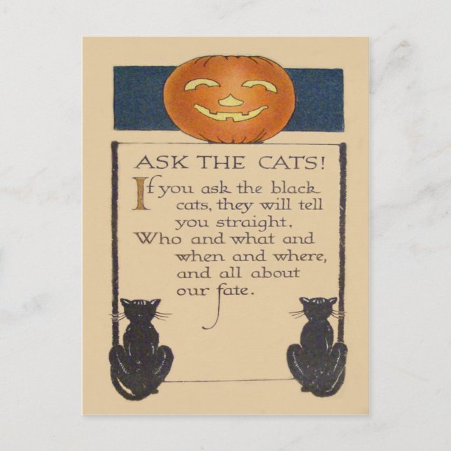 Carte Postale Citrouille Lanterne Jack O' Lantern Chat Noir (Devant)