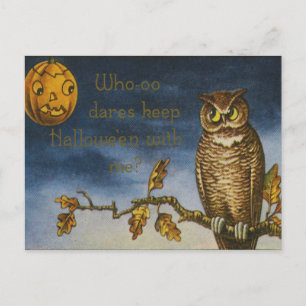 Carte Postale Citrouille Owl Jack-o'-lantern