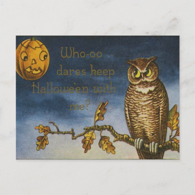 Carte Postale Citrouille Owl Jack-o'-lantern (Devant)