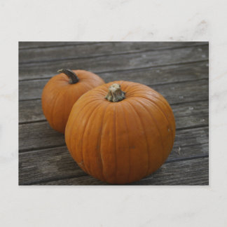 Carte postale Citrouille Plump
