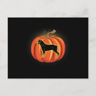 Carte Postale Citrouille Rottweiler Amoureux des chiens costume