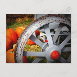 Carte Postale Citrouille rustique