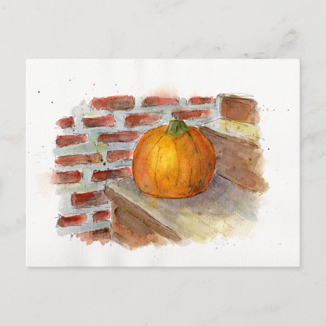 Carte postale citrouille  Still Life Citrouille (Devant)
