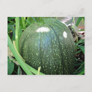 Carte Postale Citrouille vert