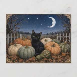 Carte Postale Citrouilles Chat Noir Vintage