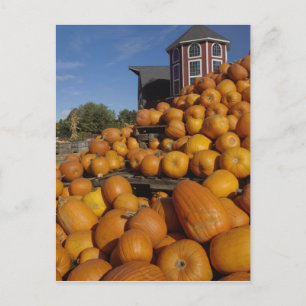 Carte Postale Citrouilles dans une ferme en automne près de Conc