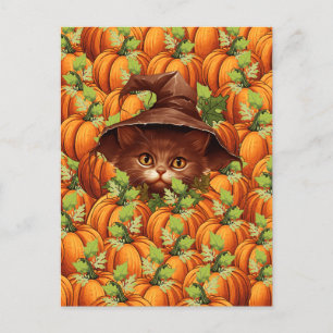 CARTE POSTALE CITROUILLES DE THANKSGIVING CHAT MIGNON