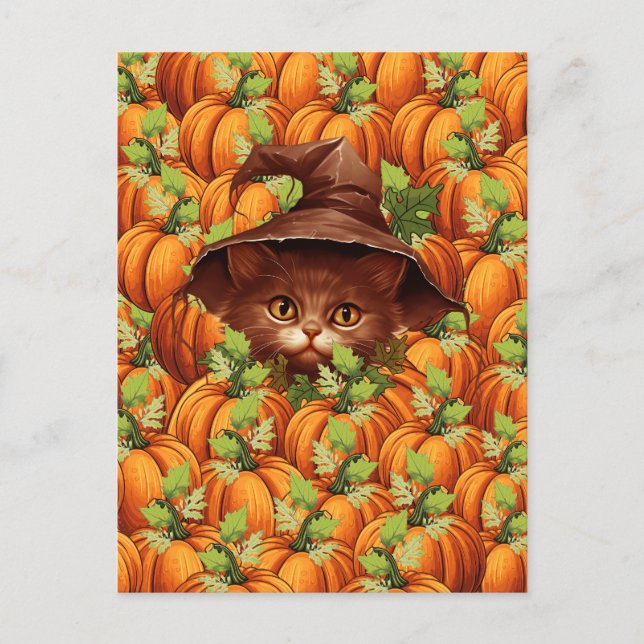 CARTE POSTALE CITROUILLES DE THANKSGIVING CHAT MIGNON (Devant)