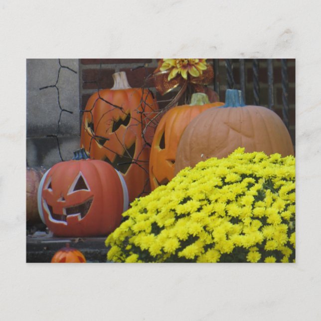 Carte Postale Citrouilles et Chrysanthèmes (Devant)