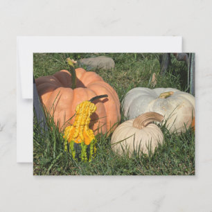 Carte Postale Citrouilles et gourmands