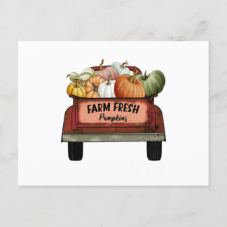 Carte Postale Citrouilles frais de ferme
