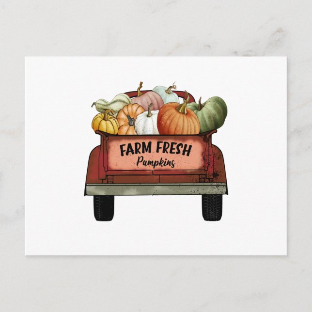 Carte Postale Citrouilles frais de ferme (Devant)