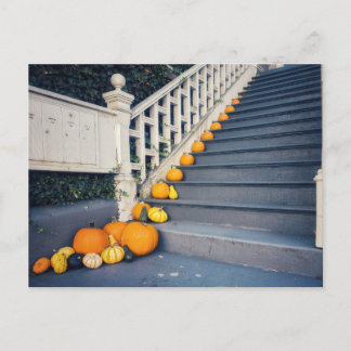 Carte Postale Citrouilles sur l'escalier