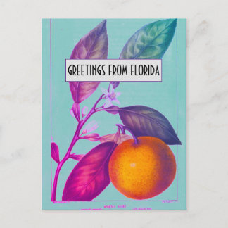 Carte postale Citrus Floride