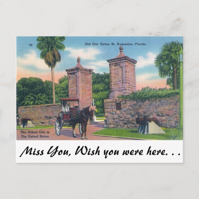 Carte Postale City Gates, St Augustine (Devant)