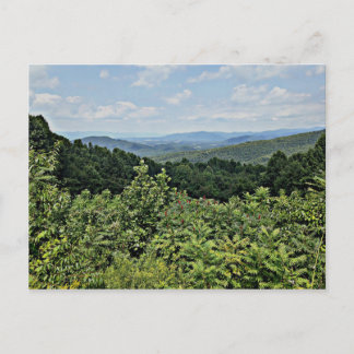Carte Postale Clair - Parc national de Shenandoah