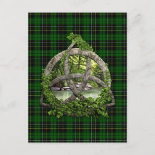 Carte Postale Clan Et Clan MacAlpine Tartan