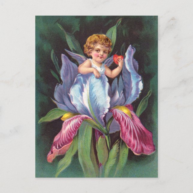 Carte Postale Clapsaddle : Fleur Cherub Iris (Devant)