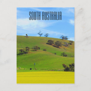 Carte Postale clare valley sud-australie