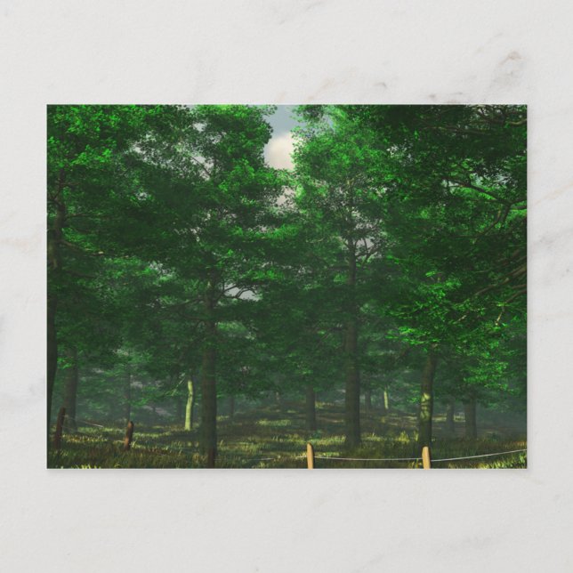 Carte postale Clarité de la nature (Devant)