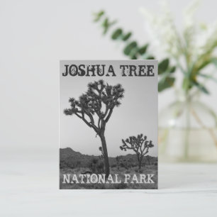 Carte Postale Classic tendance noir & blanc Joshua Tree Souvenir