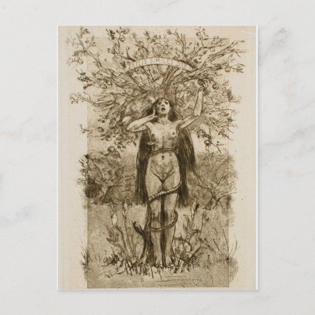 Carte postale classique (Devant)