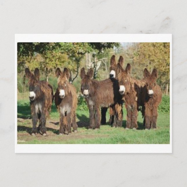 Carte postale classique (Devant)