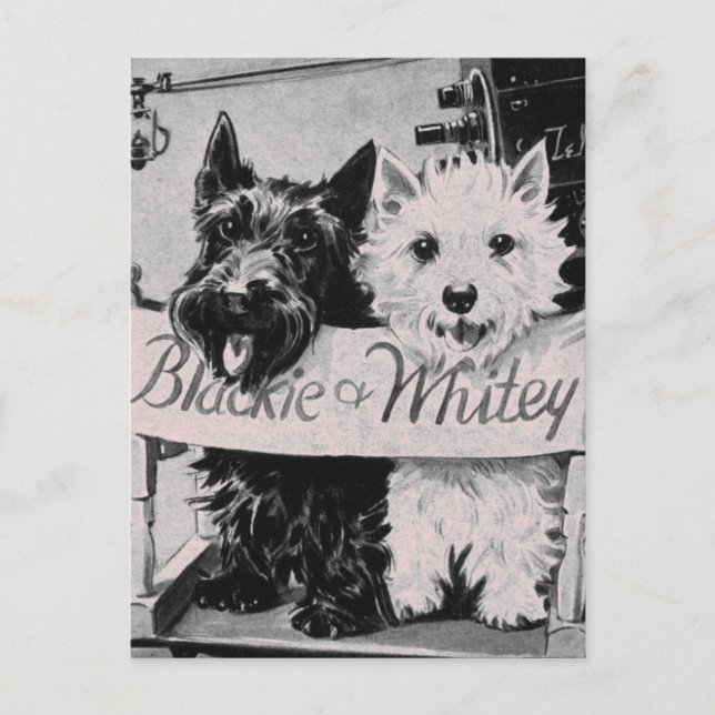 * Carte Postale classique Pretty Poochies Rose * (Devant)