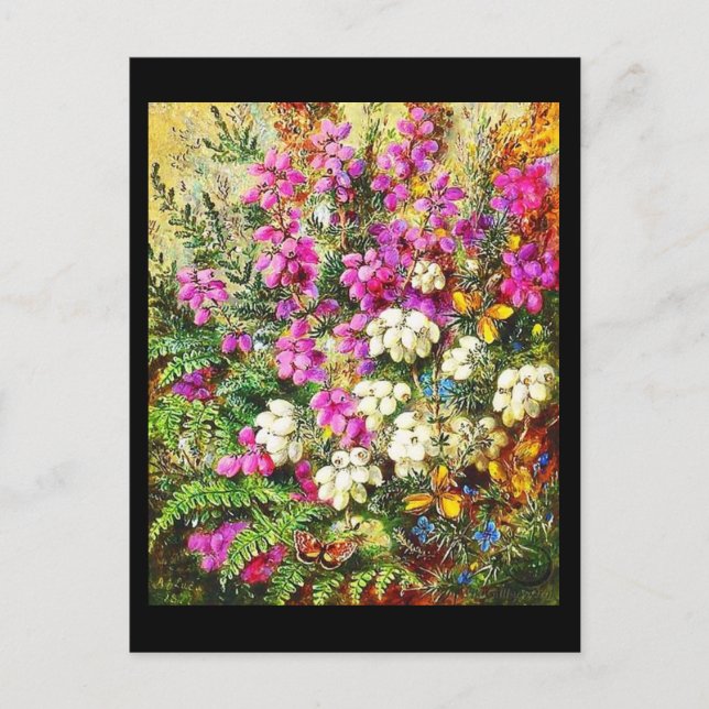 Carte postale classique/Vintage-Albert Durer Lucas (Devant)