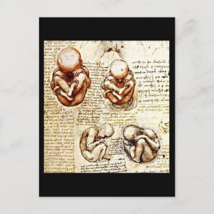 Carte postale classique/Vintage-Léonard de Vinci 9