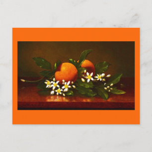 Carte postale classique/Vintage-Martin Johnson Hea