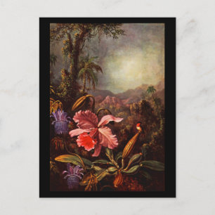 Carte postale classique/Vintage-Martin Johnson Hea