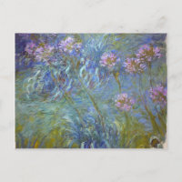 Claude Monet - Agapanthus Peinture De Fleurs Class