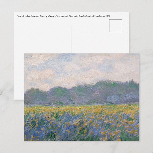Carte Postale Claude Monet - Champ d'iris jaunes à Giverny (Devant / Derrière)