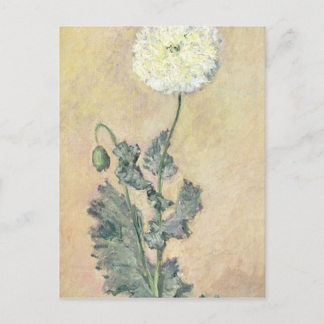 Carte Postale Claude Monet | Coquelicot blanc, 1883 (Devant)