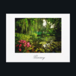 Carte postale Claude Monet Giverny Pond Lilies<br><div class="desc">Claude Monet Giverny, France Pond avec Lilies Canvas Styliszed Photo Carte postale pour ajouter à votre collection de souvenirs de voyage. Un cadeau cool / idée de cadeau pour tous ceux qui aiment le design personnalisé des objets personnalisés, des images positives, l'architecture, le voyage, tout ce qui est français, paysages...</div>